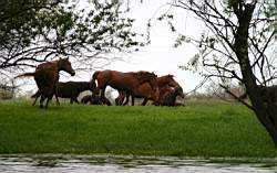 144 ����.JPG