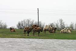 210 ������� ������.JPG