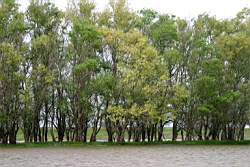 215 ������� 2.JPG