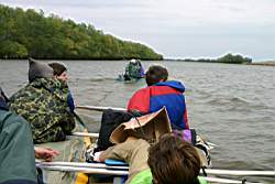 217 �� ������� ����.JPG