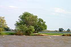 220 ������� 3.JPG