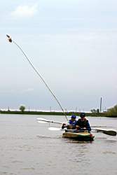 233 �������.JPG