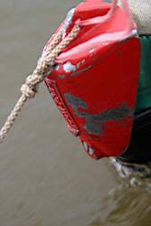 243 �������.JPG