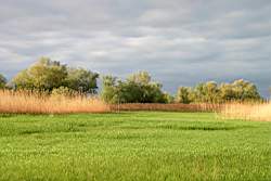 251 ����������� �����.JPG