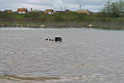 265 � �� �������....JPG