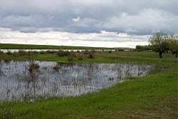 281 ������� 11.JPG