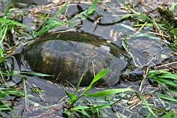 312 ������� �����.JPG