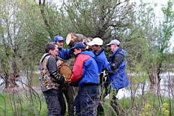 323 �����....JPG