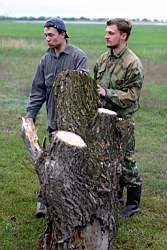 334 ���������....JPG