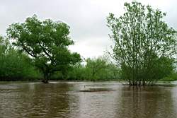 354 ������� 13.JPG