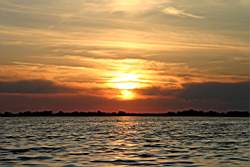 379 �����.JPG