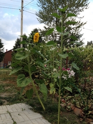 Resize of image-04-08-14-09-46-6.jpg