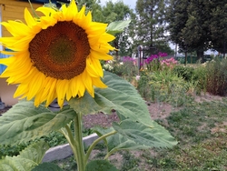 Resize of image-04-08-14-09-46-7.jpg
