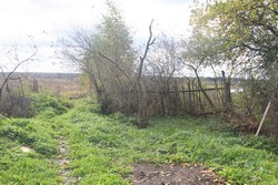 Resize of IMG_0115 Старый забор на дальний огород.JPG
