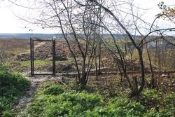 Resize of IMG_0124 Новый забор.JPG