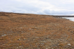 Resize of IMG_4120.JPG