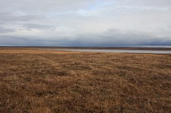 Resize of IMG_4132.JPG