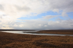 Resize of IMG_4135.JPG