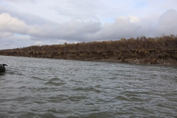 Resize of IMG_4144.JPG