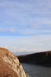 Resize of IMG_4181.JPG