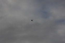 Resize of IMG_4305.JPG