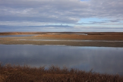 Resize of IMG_4316.JPG