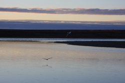 Resize of IMG_4342.JPG