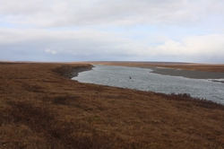 Resize of IMG_4347.JPG