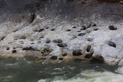 Resize of IMG_4429.JPG