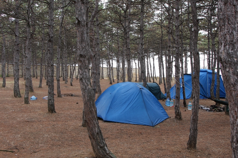 IMG_2825 Сосновые посадки разделены на частные участки..jpg