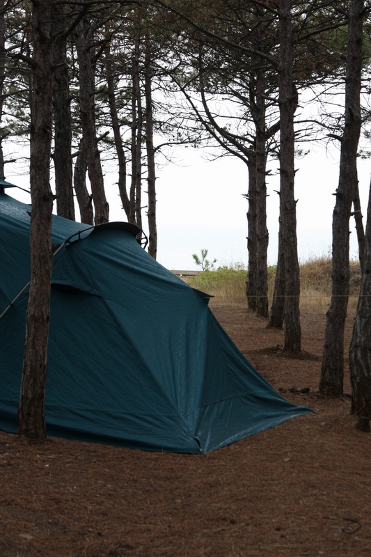 IMG_2829 До моря по прямой 70м.jpg