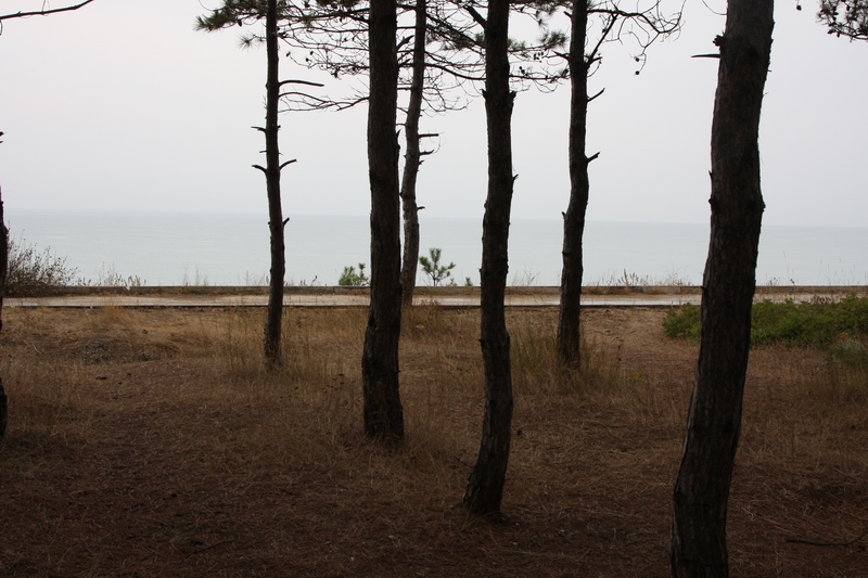 IMG_2836 Вид из лагеря на море.jpg