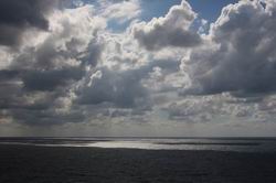 Resize of IMG_3019.jpg
