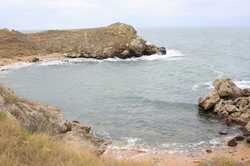 Resize of IMG_3763.jpg