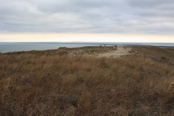 Resize of IMG_3787.jpg