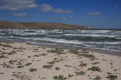 Resize of IMG_3852.jpg