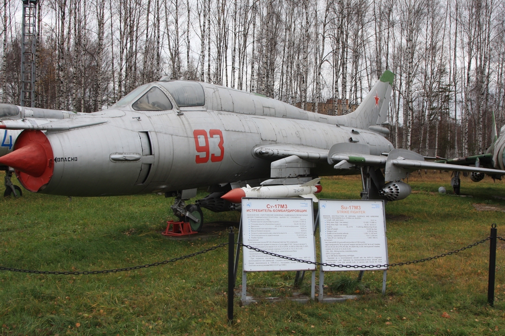 IMG_4772.jpg