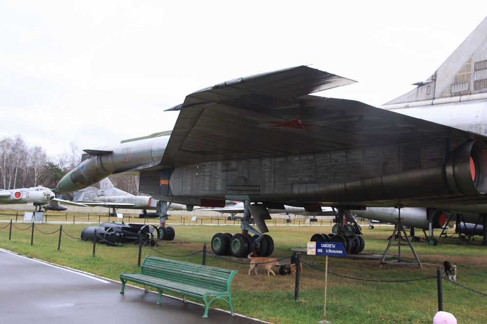 IMG_4895 Т-4.jpg