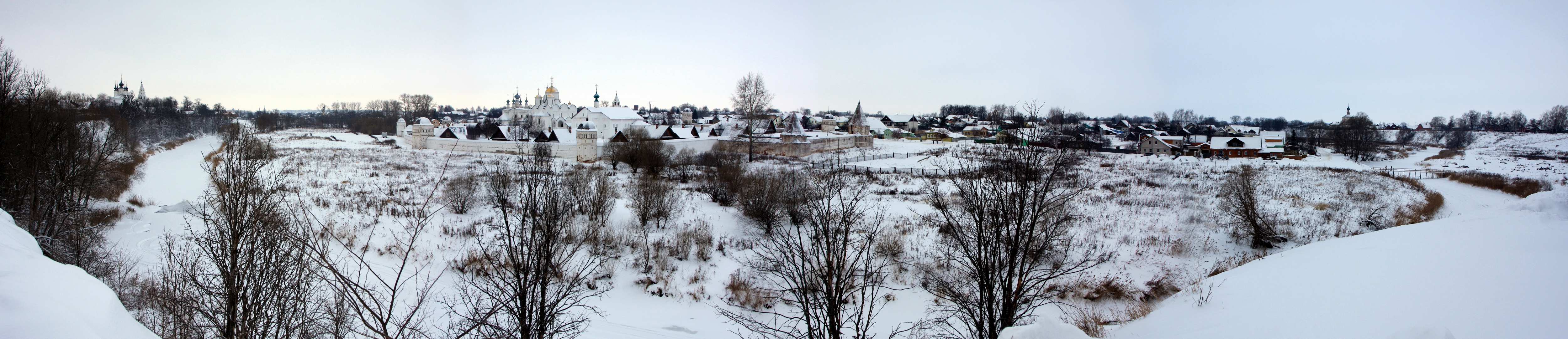 панорама 1 Покровский монастырь от стен Спасо-Евфимиева монастыря.jpg
