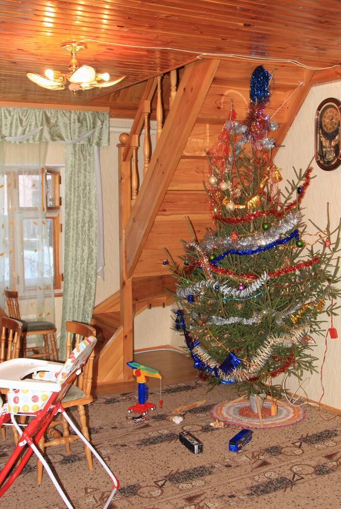 IMG_5368 Елка в гостинной и вход на второй этаж.jpg