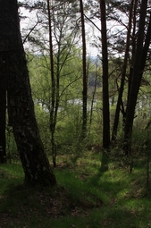 Resize of IMG_7711.JPG