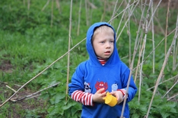 Resize of IMG_7781.JPG