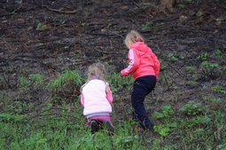 Resize of IMG_7802.JPG