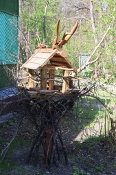 Resize of IMG_7821.JPG