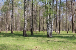 Resize of IMG_7825.JPG