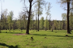Resize of IMG_7854.JPG