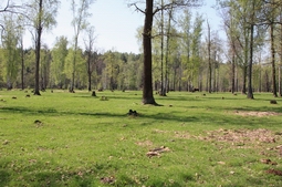 Resize of IMG_7856.JPG