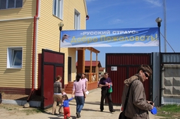 Resize of IMG_7905.JPG