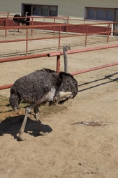 Resize of IMG_7934.JPG