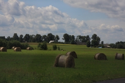 Resize of IMG_9313.jpg